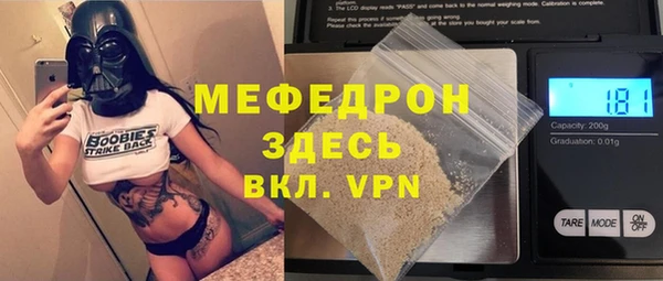 индика Алексин