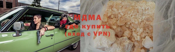 индика Алексин