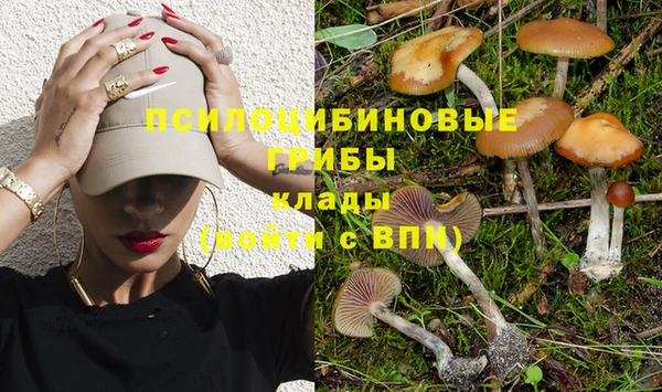 индика Алексин