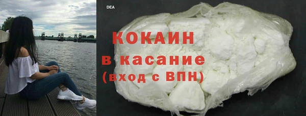 индика Алексин