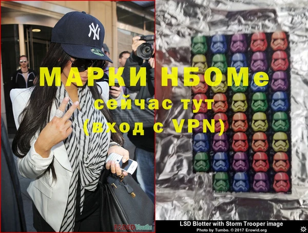 индика Алексин