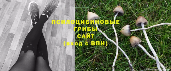 спиды Алзамай