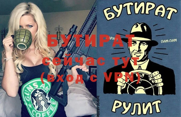 индика Алексин