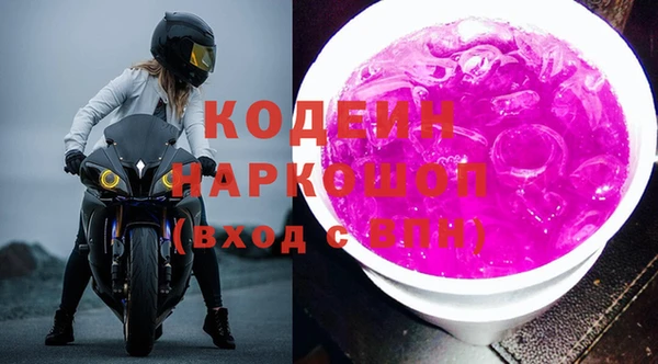 индика Алексин