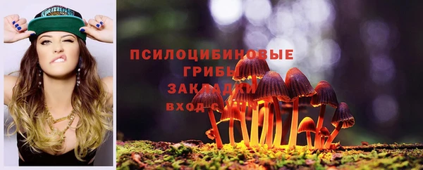 спиды Алзамай